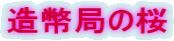 $BB$J>6I$N:y(B